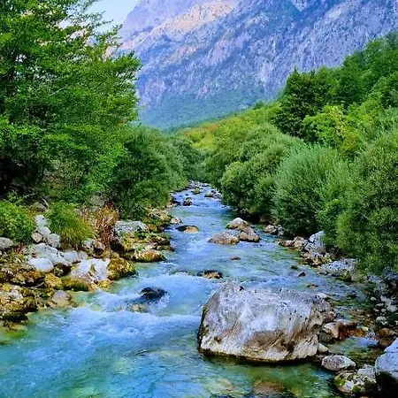 Oda ve Kahvaltı Hyrmet Demushi *