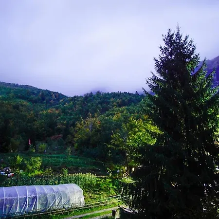 Hyrmet Demushi Bed & Breakfast