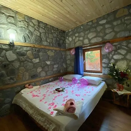Hyrmet Demushi Bed & Breakfast *