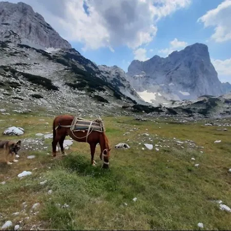 Oda ve Kahvaltı Hyrmet Demushi *