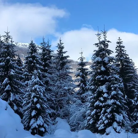Hyrmet Demushi 3* Valbona