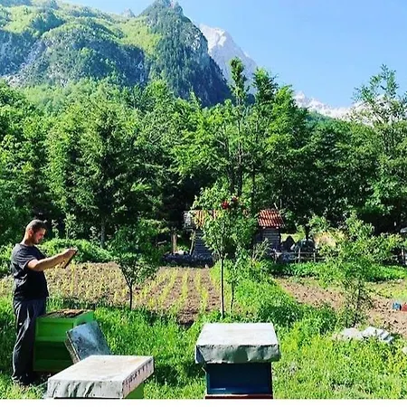 Hyrmet Demushi Panzió