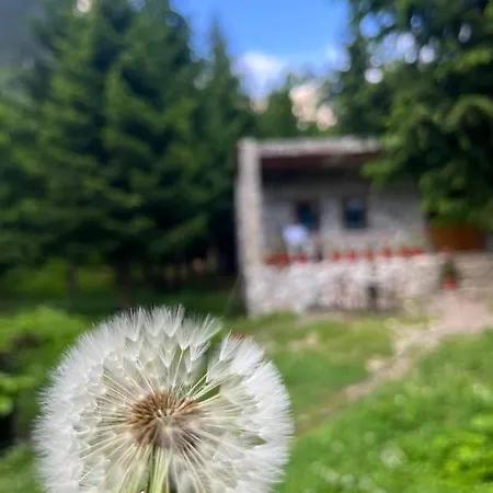 فندق مبيت وإفطار Hyrmet Demushi فالبني