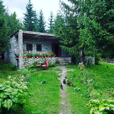 Hyrmet Demushi 3* Valbona