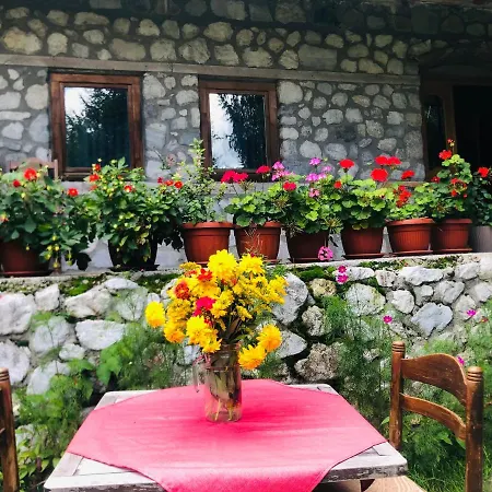 Hyrmet Demushi 3* فالبني