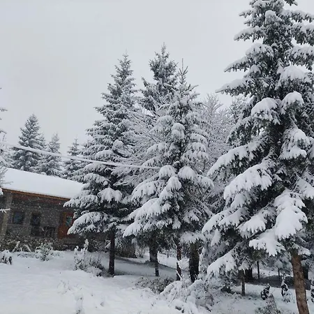 Hyrmet Demushi Valbona