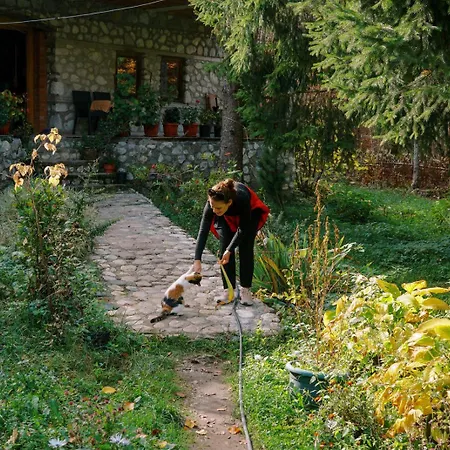 Hyrmet Demushi فندق مبيت وإفطار فالبني