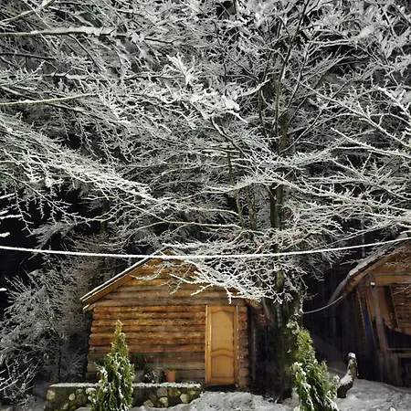 Hyrmet Demushi Bed & Breakfast
