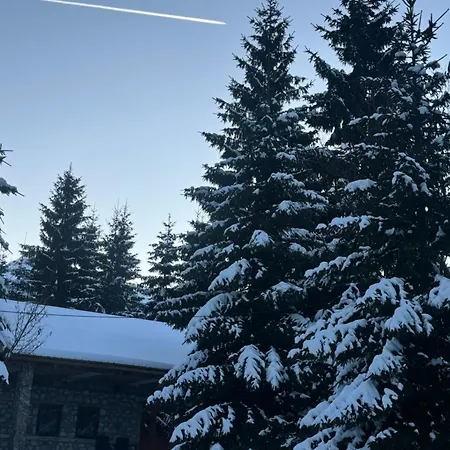 Hyrmet Demushi فالبني