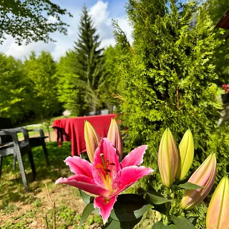 Bed & Breakfast Hyrmet Demushi *