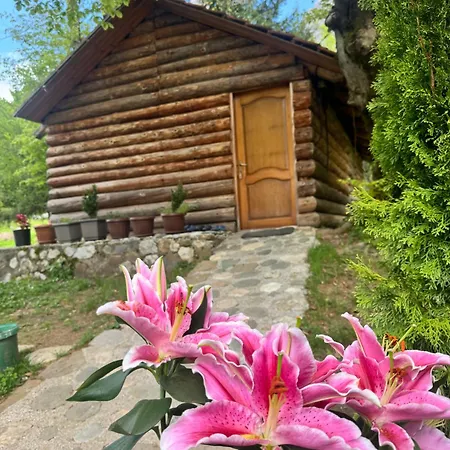 Hyrmet Demushi Bed & Breakfast Valbone