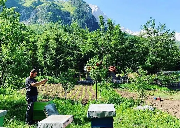 Hyrmet Demushi Bed and breakfast