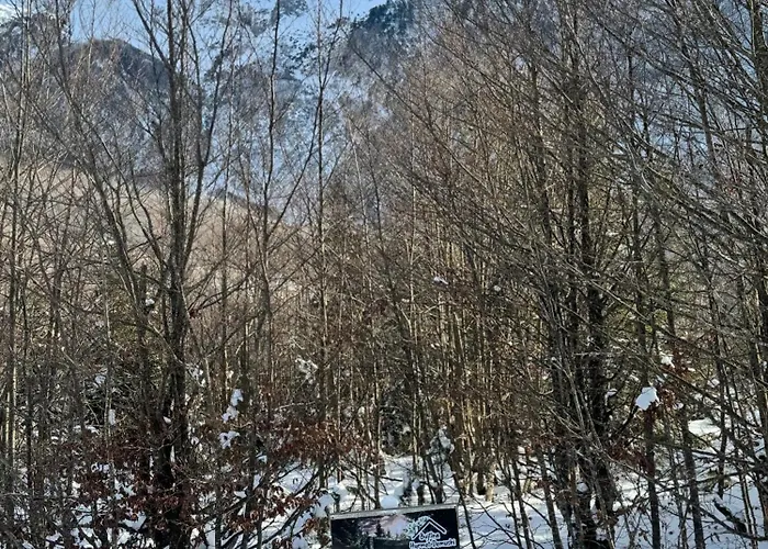 Hyrmet Demushi 3* فالبني