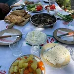 Hyrmet Demushi فالبني