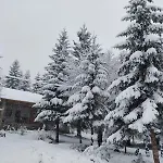 Hyrmet Demushi فالبني
