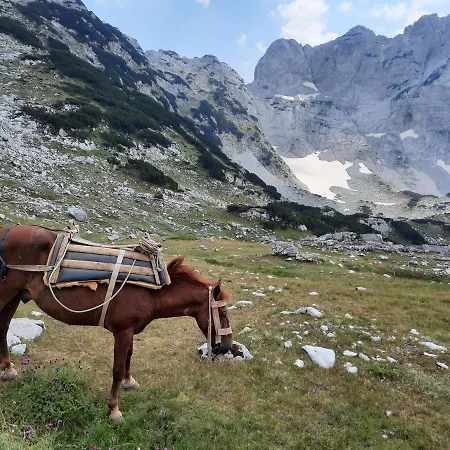 Hyrmet Demushi Valbona